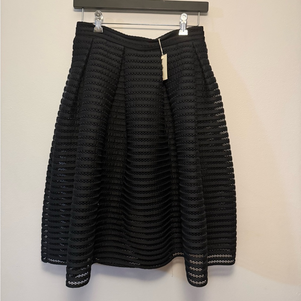 Elegant Black Full Skirt